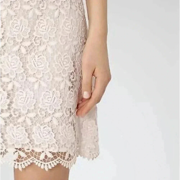REISS SHANFORD SUGAR LACE LIGHT PINK DRESS SIZE 0 - Picture 3 of 11